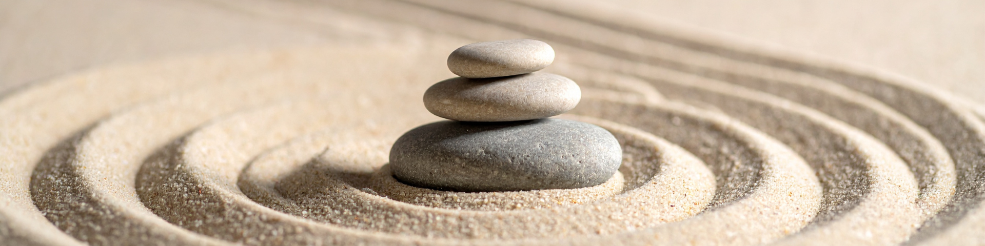 BANNER  (1920 x 480 px) (8)